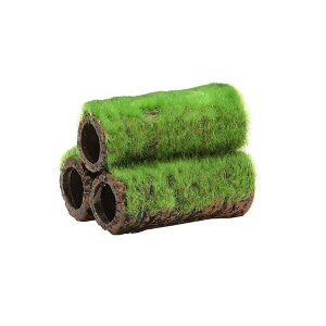 Șa̒ y S y×5Zbgz iϏ܋ / pij yp ܂Ƃߔ  Ɩp  Zbg̔z y ybgt[h E ybgpi ybgEybgObY  Mы ߂