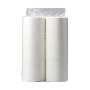 TANOSEE トイレットペーパー (パルプ100%) パック包装 シングル 芯なし 250m1セット (240ロール:24ロール×10ケース)( 掃除用品 文房具・事務用品 生活雑貨 オフィス用品 日用品雑貨 日用消