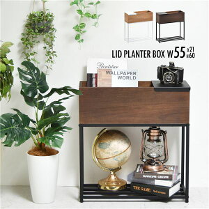 v^[X^h 55cm ω׏d25kg uE ؐ  X`[pCv v^[{bNX g rO _CjO ([J[:BBnEXj