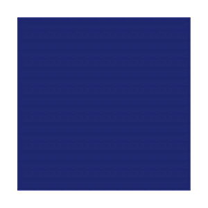 悢J[ 4c100   ItBXpi Ɩp  ItBX pi  m[g i p