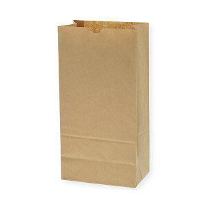 シモジマHEIKO 紙袋 角底袋 No.12 未晒無地 #4011200 1パック (100枚) 【×5セット】 【お徳用 まとめ買い お買い得 業務用 割引 セット販売】 日用品雑貨・文房具・手芸 文房具・事務用品 文具 オ