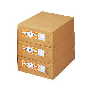 X S A4 1000×3v^[ OA v^p