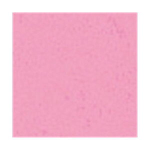 悢J[ 4c100 Ƃ  ItBXpi Ɩp  ItBX pi  m[g i p