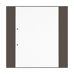 板目表紙穴開きタイプ イタ-A4 A4 40枚 【×2セット】 【お徳用 まとめ買い お買い得 業務用 割引 】 文房具・事務用品 オフィス用品 ファイル・バインダー クリアケース・クリアファイル