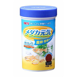 _JC YE琬pt[h 100g 싛pt[h y×5Zbgz yp ܂Ƃߔ  Ɩp  Zbg̔z y ybgt[h E ybgpi ybgEybgObY  Mы 
