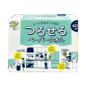 邹y[p[^I 400g×20pbN