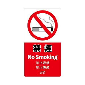 ӊNXebJ[ ։24-554 y×5Zbgz y Zbg̔ ܂Ƃߔ   pi z  ItBXpi Ɩp  i [  W Ŕ