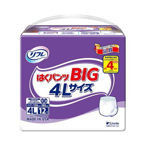 t ͂pcBIG 4L 1P _CGbgEN qpi ނ pc Ic_CGbgEN qpi ނEpc