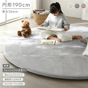 �������� �h�� ���O �~�` ��190cm ���C�g�O���[ �E���^�� �t�����l�� ����~�߉��H ���OK �z�b�g�J�[�y�b�g ���g�[�Ή� �O�~