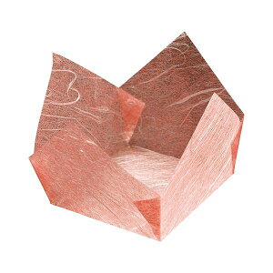 }R[ p ItBX Ɩp ʃ~p g~_ (200) yamaco66306 Lb` H HX Ɩp aH 