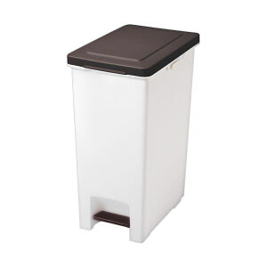 AXx RhLGo y_y[ 45L uE 1 y×3Zbgz yp ܂Ƃߔ  Ɩp  Zbg̔z i |pi pi | ItBXpi piG S~ _X