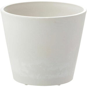 �y2�Z�b�g�z ���b�`�F�� �{�^�j�[ �n�C�h�|�b�g 23�^ �z���C�g �y �Z�b�g�̔� �܂Ƃߔ��� ���� �z �� �K�[�f�j���O �v�����^�[