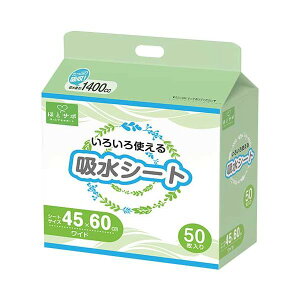 MISM zV[g Ch 501P