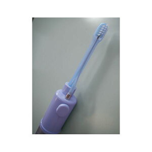 Z oPA robNvX i3jzuVZbg E562 Z oPA_CGbgEN I[PA I[PA