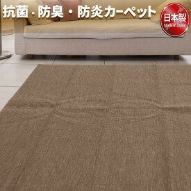 フリーカットができる 抗菌 防臭 防炎カーペット 絨毯 / 江戸間 2畳 176×176cm ブラウン / 洗える 日本製 『ウェルバ』 ラグ カーペット マット ラグマット 約200cm×200cm