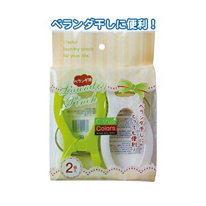 Citrus Colors x_s`2 ypZbg 12Zbg z 38-807 i |pi [Epi G ItBXpi piG pՕi [ | j