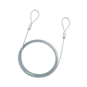 サンワサプライ eセキュリティ (ワイヤー、2.0m・3.5mm) SLE-1W-2 【×10セット】 【お徳用 まとめ買い お買い得 業務用 割引 セット販売】