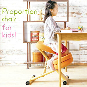 p֎q 48.5cm LbYp C ؐ ʍ LX^[t NbVt v|[V`FA q y֎q `FA[ Ɩp PC ItBX ItBX`FA[ `FA 