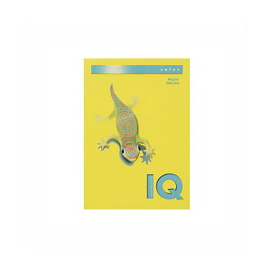 ɓ oCIgbvJ[ A4 500 80g / m2 BT529 }X^[h y×2Zbgz yp ܂Ƃߔ  Ɩp  Zbg̔z v^ PCTvCEՕi Rs[pEp R