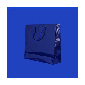 VW} uCgobO 6137919 VR 1 y×10Zbgz yp ܂Ƃߔ  Ɩp  Zbg̔z piG݁E[E| [Epi  ItBXpi [