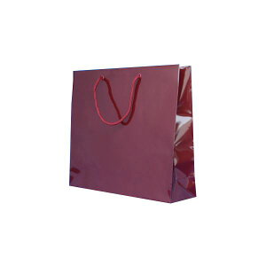 VW} uCgobO 6137902 GW 1 y×10Zbgz yp ܂Ƃߔ  Ɩp  Zbg̔z piG݁E[E| [Epi  ItBXpi [