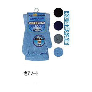 jpȍn5{w\bNX56212 J[A\[g / ws y10Zbgz 45-598t@bV C bOEH[}[