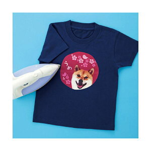 TTvC CNWFbgJ[zpACvg JP-TPRCLN y×5Zbgz yp ܂Ƃߔ  Ɩp  Zbg̔z v^ PCTvCEՕi Rs[pE