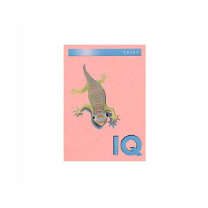 ɓ oCIgbvJ[ A4 250 120g / m2 BT704 sN y×2Zbgz yp ܂Ƃߔ  Ɩp  Zbg̔z v^ PCTvCEՕi Rs[pEp Rs