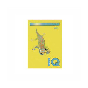 ɓ oCIgbvJ[ A4 250 120g / m2 BT729 }X^[h y×2Zbgz yp ܂Ƃߔ  Ɩp  Zbg̔z v^ PCTvCEՕi Rs[pEp 