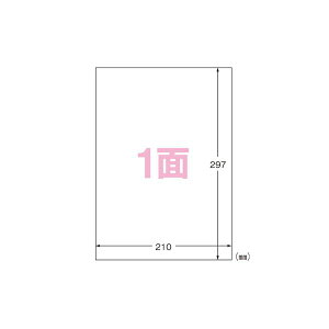 G[ tBxV[ A4 ctBE / tBEzCg 28795 10 y×2Zbgz yp ܂Ƃߔ  Ɩp  Zbg̔z [Epi