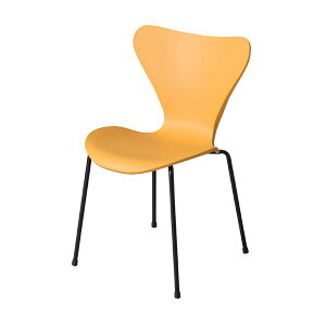 p[\i`FA 49.5cm CG[ y X`[ JC`FA gi rO _CjO CeAƋ y֎q `FA[ Ɩp PC ItBX ItBX`FA[ `FA c PC`FA[