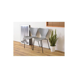 p[\i`FA 49.5cm O[ 2rZbg y X`[ JC`FA gi rO _CjO CeAƋ y֎q `FA[ Ɩp PC ItBX ItBX`FA[ `FA c PC