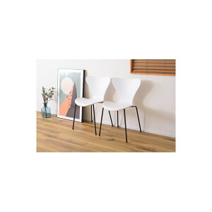 p[\i`FA 49.5cm zCg 2rZbg y X`[ JC`FA gi rO _CjO CeAƋ y֎q `FA[ Ɩp PC ItBX ItBX`FA[ `FA c 