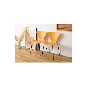 p[\i`FA 49.5cm CG[ 2rZbg y X`[ JC`FA gi rO _CjO CeAƋ y֎q `FA[ Ɩp PC ItBX ItBX`FA[ `FA c 