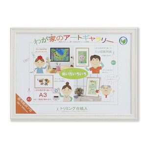 〔 カラー画用紙額 〕 軽い額 画用紙額 四ツ切 540×380mm ホワイト 透明PET付 額 額縁 フレーム