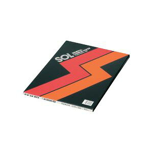 [l J[{ ʕMLp 2300N 1 i100j piG݁E[E| [Epi  ItBXpi [ pi m[gEi m[gE|[g