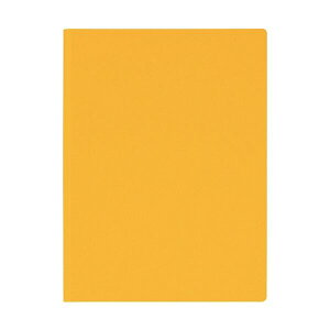 yCI lion  pz tbvz_[ irWJj A4^e CG[ FH-300B 1 y×20Zbgz y ܂Ƃߔ  Ɩp  ItBXpi [ piz t