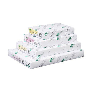 TANOSEE αエコカラーペーパーIIB4 スカイブルー 1セット (2500枚:500枚×5冊) プリンタ PCサプライ・消耗品 コピー用紙・印刷用紙 コピー用紙 コピー 紙 プリンタ用紙