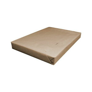 日本製紙 しらおい SR A3 Y目 127.9g 1冊 (250枚) プリンタ PCサプライ・消耗品 コピー用紙・印刷用紙 コピー用紙 コピー 紙 プリンタ用紙
