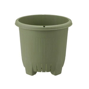 v^[ / |pi yی^ 36^ O[z 1|bgAp ʁFr E TChXbgt ؉ y×16Zbgz y Zbg̔ ܂Ƃߔ  z  K[fjO v^[