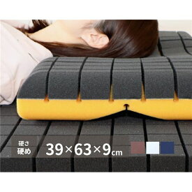 枕 約39×63×9cm ホワイト 日本製 抗菌 抗ウイルス 洗える 専用ネット使用 アラエルーノピロー ベッドルーム 寝室 寝具 枕 抱き枕
