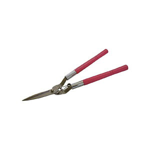 hEJ K[f΂[ 0127 1{ `ƃolŎRɐnJAƌAbv܂BpiECeAEG  K[fjO K[fjOpi