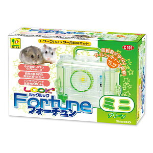 bNbN tH[`~j O[ y×2Zbgz yp ܂Ƃߔ  Ɩp  Zbg̔z y ybgt[h E ybgpi  nX^[  ybgt[