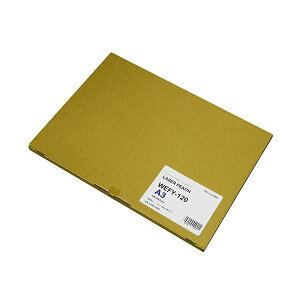ダイオーペーパープロダクツレーザーピーチ WEFY-120 A3 LPWF120A3 1冊 (100枚) プリンタ PCサプライ・消耗品 コピー用紙・印刷用紙 コピー用紙 コピー 紙 プリンタ用紙