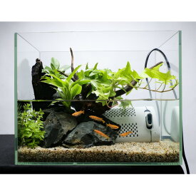 テトラ サイレントフレックスセット 幅30cm （ペット用品） ペット 魚 熱帯魚 水槽 水槽用品　アクアリウム