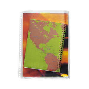 LION CI NA[|PbgA4^e 2 E 4 E 30 }`t CL-303M 1pbN(5) y×20Zbgz y Zbg̔ ܂Ƃߔ   pi z  ItBXpi Ɩp  