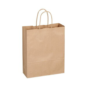 TANOSEE 【お徳用セット】 TANOSEE 紙手提袋 丸紐 小 ヨコ260×タテ320×マチ幅100mm 茶 1パック (50枚) 【×10セット】 【お徳用 まとめ買い お買い得 業務用 割引 セット販売】 文房具・事務用品 文