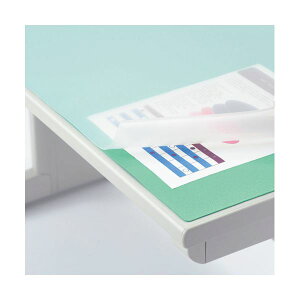 LION CI fXN}bgĐItB mOAd _uiO[}bgtj 900×620×1.5mm No.7-PR 1  ItBXpi Ɩp  ItBX pi  fXN}bg