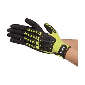 ExbNX CpNg1 M 6059868 1o i |pi [Epi G ItBXpi piG pՕi [ | j