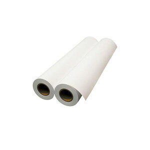 EPSON i Gv\ ʎ[ ij24C`[ 610mm×50m 2C` EPPP6424 1 i2{j y×3Zbgz yp ܂Ƃߔ  Zbg̔z v^ PCTvCEՕi Rs